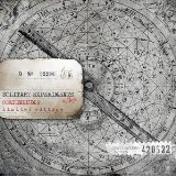 Solitary Experiments - Glory & Honour (15th Anniversary Mix)
